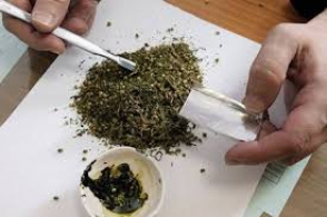 Թմրանյութ պահելու և իրացնելու կասկածանքով